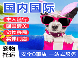 乌兰浩特义勒力特空运代理国际宠物托运 【国